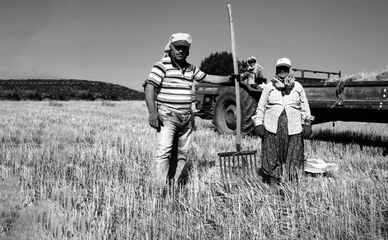 Dirt Under Their Nails, Credit in Someone Else's Name: The Black Scientists Who Quietly Saved American Agriculture
