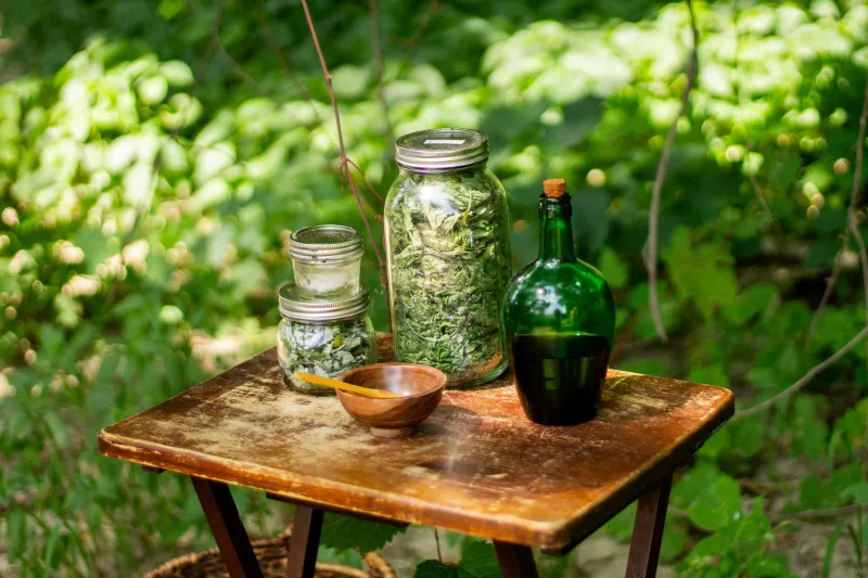 Borrowed Without Permission: The Indigenous Healers Whose Centuries of Knowledge Became Someone Else's Medical Breakthrough